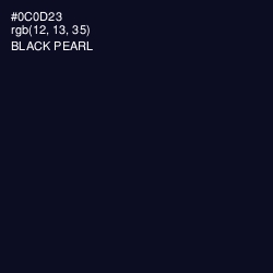 #0C0D23 - Black Pearl Color Image